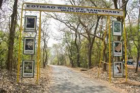 Cotigao Wildlife Sanctuary